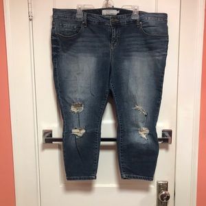 Torrid Jeans
